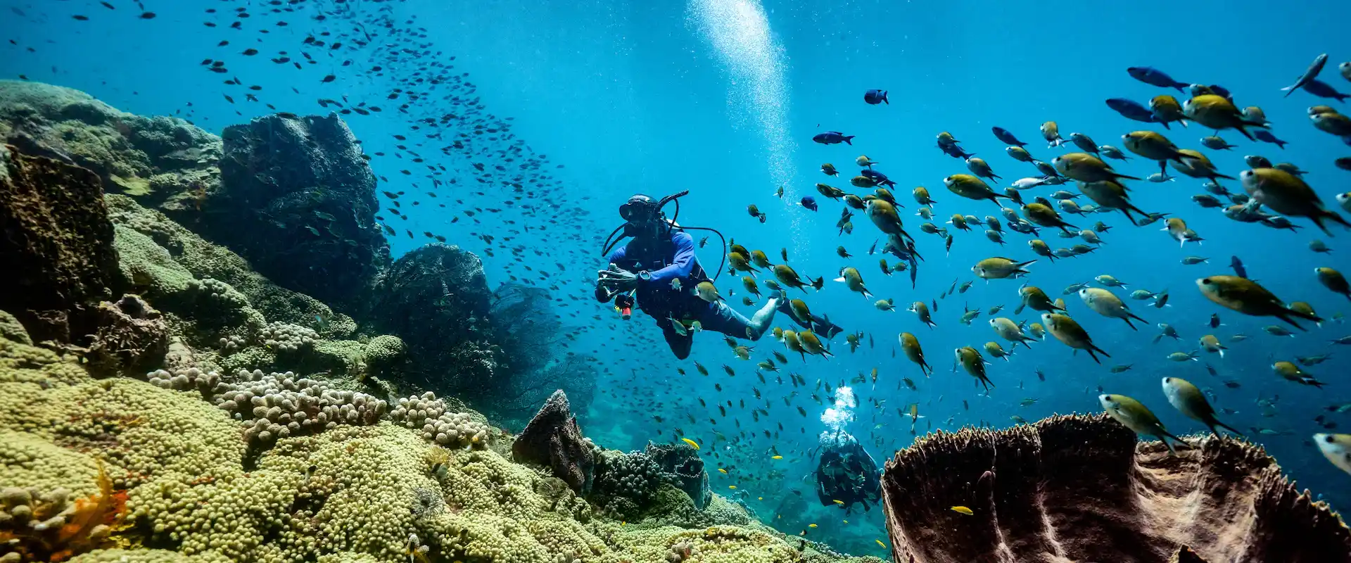 The Best Scuba Diving Trips